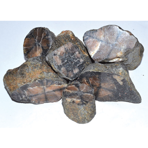 Chiastolite untumbled stones 1 lb