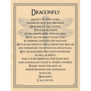 Dragonfly poster