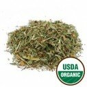 Lady's Mantle, organic - 1 oz.