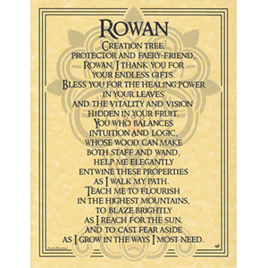 Rowan Tree poster